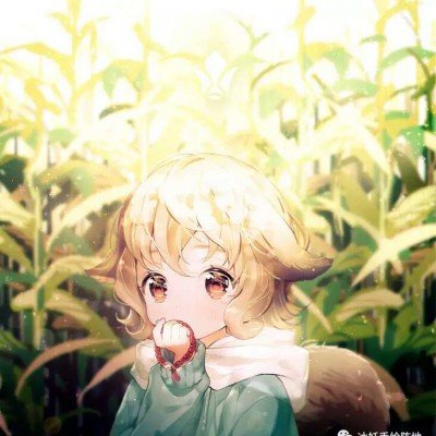 白宫将公布UFO文件